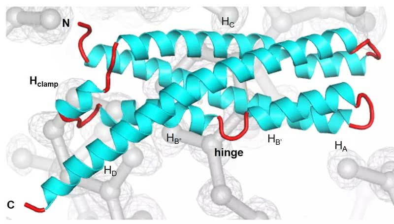 X-ray structure of Chlamydia SNARE-like protein IncA